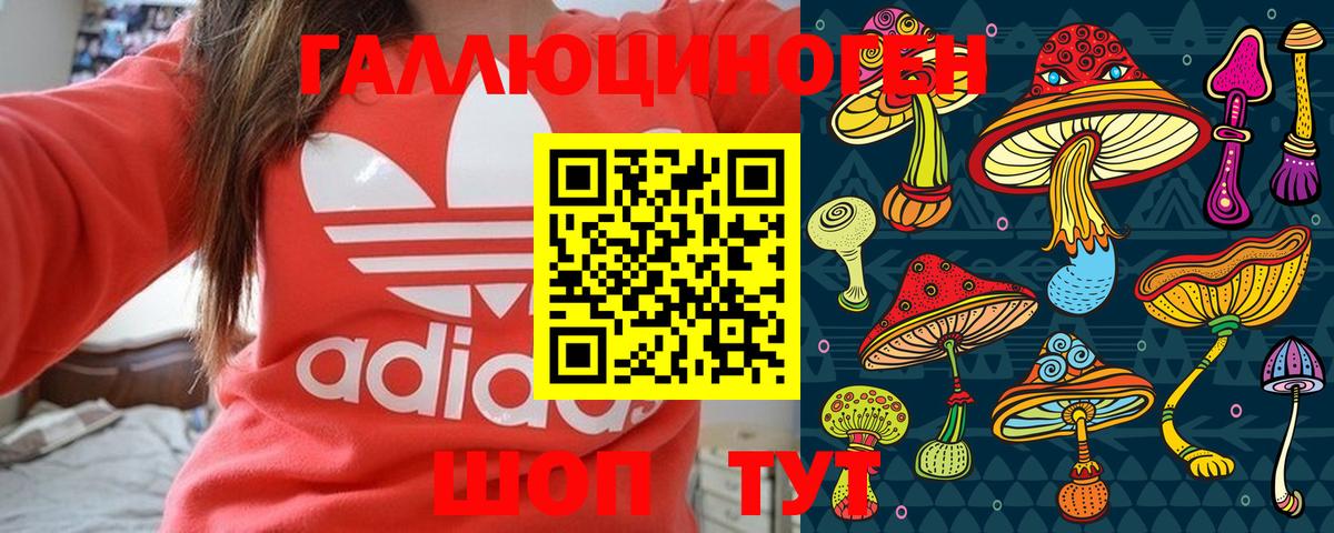 Сердобск  Галлюциногенные грибы мицелий  Вход с VPN 