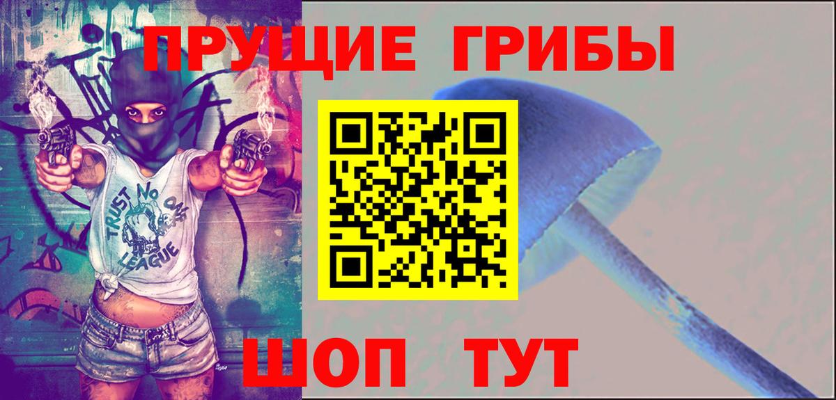 Псилоцибиновые грибы Psilocybe Сердобск